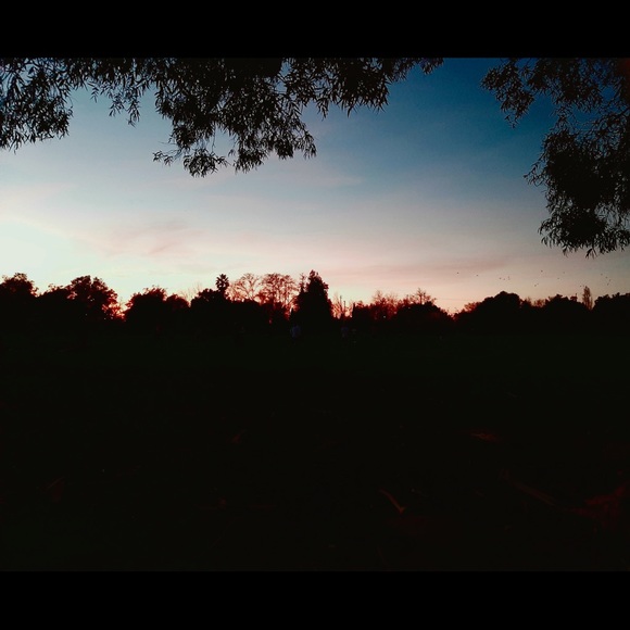 Meet your Posher, Bao - Picture 1 of 1